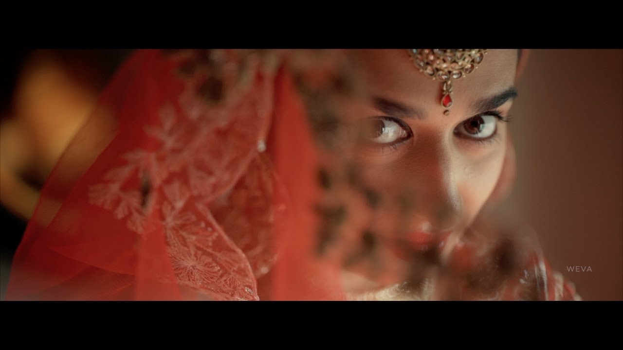 Royal Wedding at Jaipur, Rajasthan