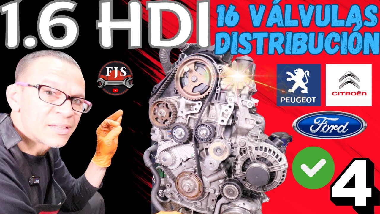 1.6 Hdi. Distribución detallada. Peugeot Partner, Citroen Berlingo, Ford Fusion, Volvo, Fiesta