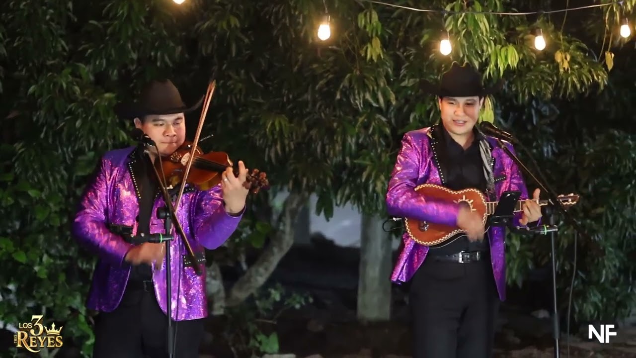 Huapangos Huastecos(La Soledad - La Leva - El Ausente) Trio Los 3 Reyes.