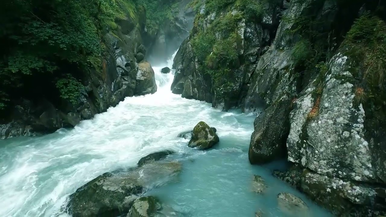 🌊 10+ Hours of Calm River & Bird Sounds | Deep Sleep, Study & Relaxation 🧘