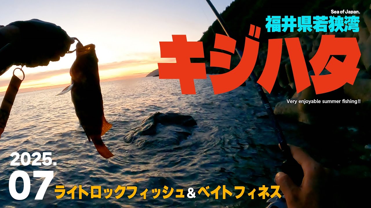真夏の「キジハタ」に挑む。福井県若狭湾のライトロックフィッシュ！