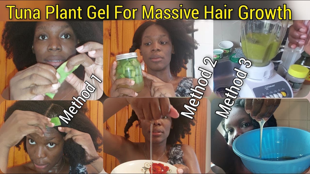 3 Ways To Extract Tuna Plant Gel For Massive Hair Growth