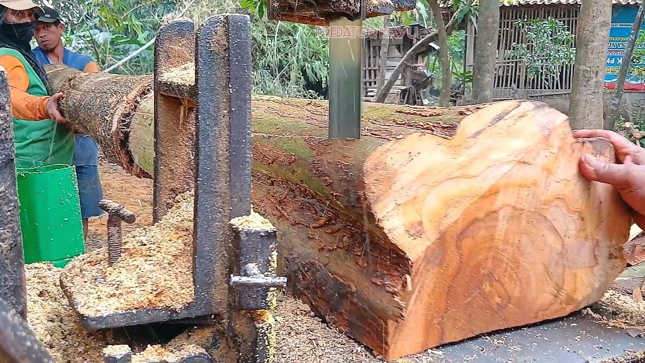 PANGKAL KAYU JATI TERES‼️Di Rajang Bahan Balok-Gergaji Mesin Bandsaw Rakitan