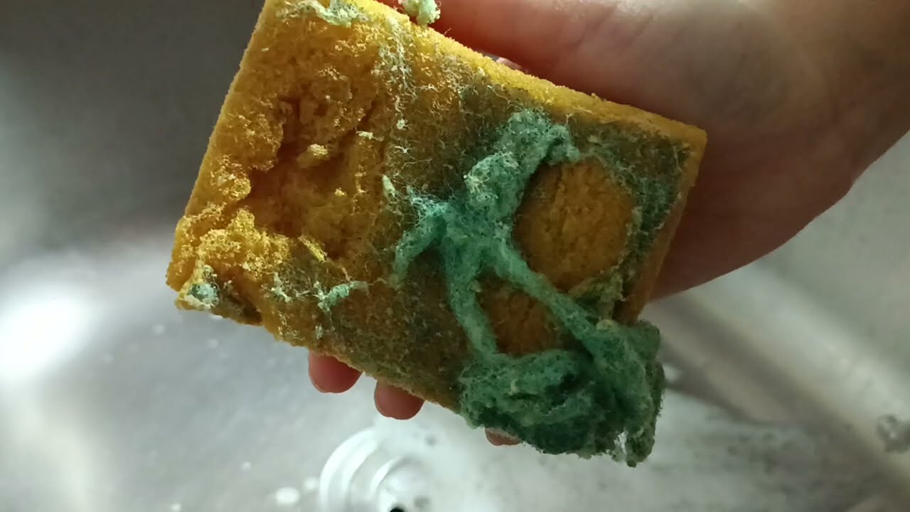 Bleached Kitchen Sponge Dry Ripping | Sponge ASMR