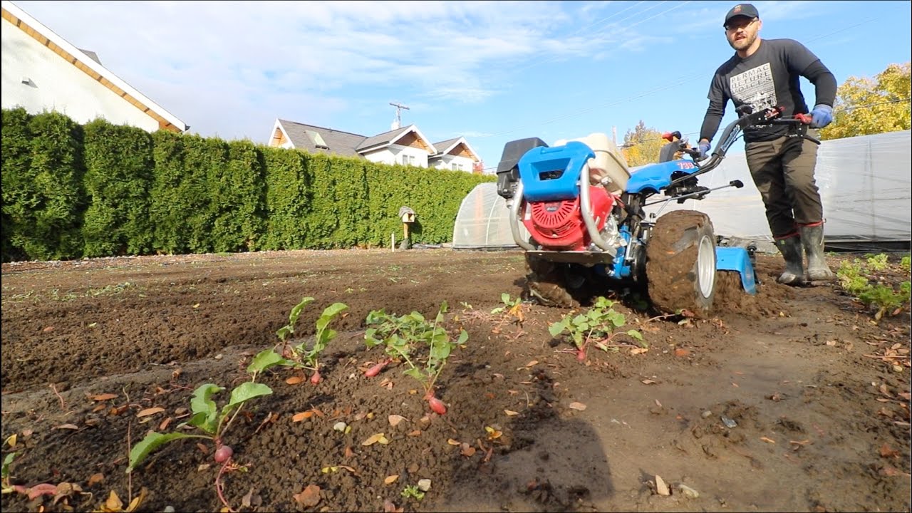 Level Up Your Farming with Intensive Cover Crops!