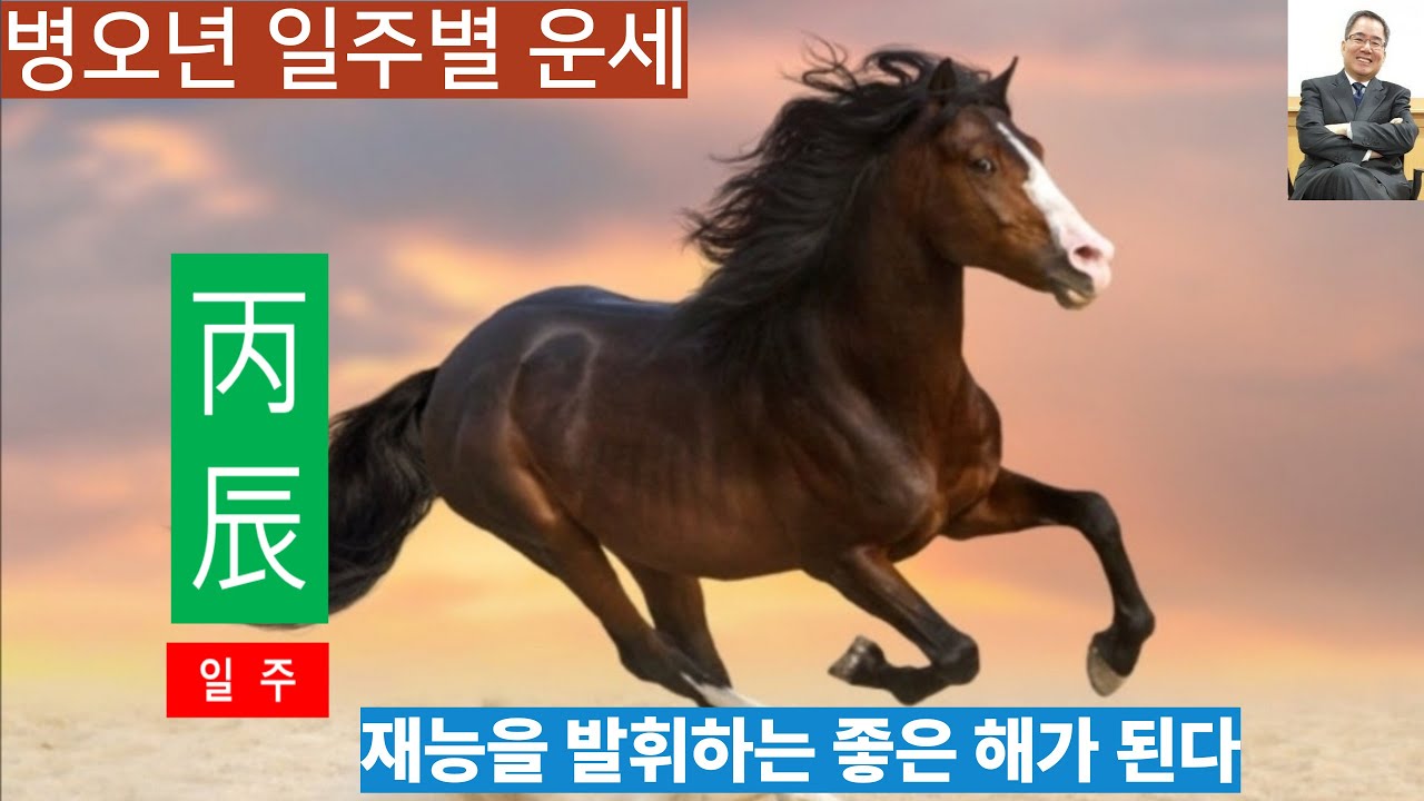 병오년운세ㅣ 병진일주, 처세의 달인, 치밀한 준비와 노력으로 목표를 이룬다