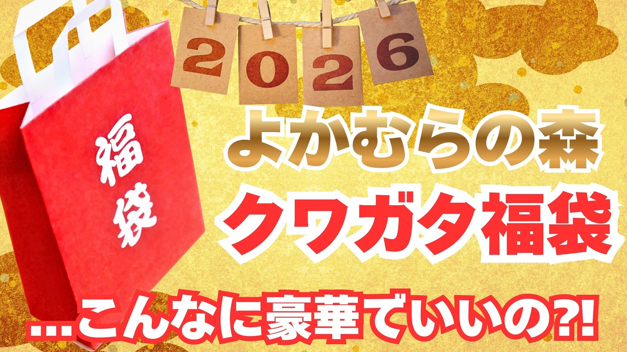 よかむらの森さんのクワガタ福袋2026の中身が最高すぎた！福袋開封レビュー編。