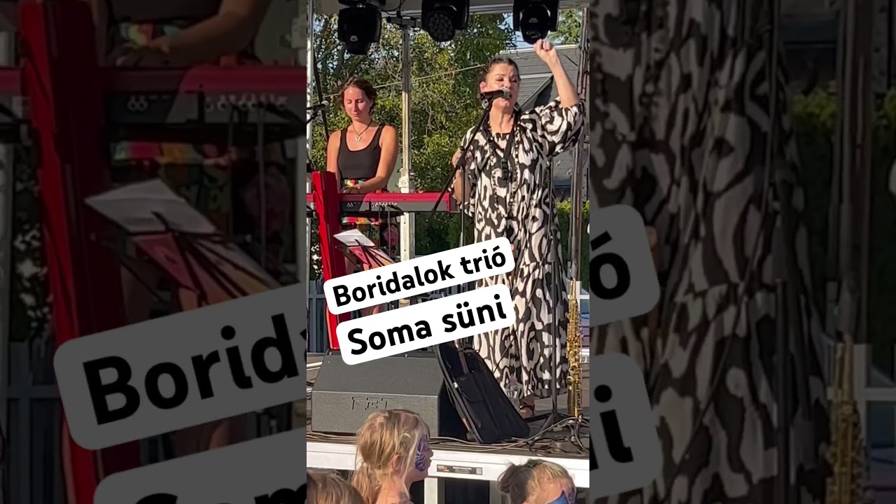 Hallgasd meg a Boridalok tri&oacute;t!💕 #somas&uuml;ni #boridalok #gyerekdalok #kidsongs #koncert