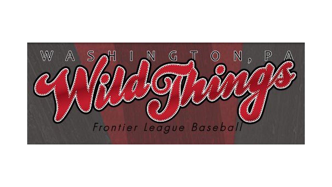 Washington Wild Things vs. Joliet Slammers  6-14-16