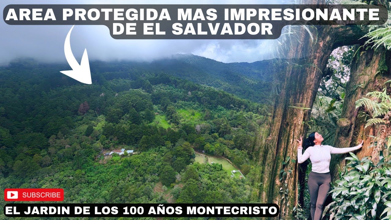 ÁRBOLES GIGANTES EN EL SALVADOR / Parque Nacional Montecristo 😱🇸🇻