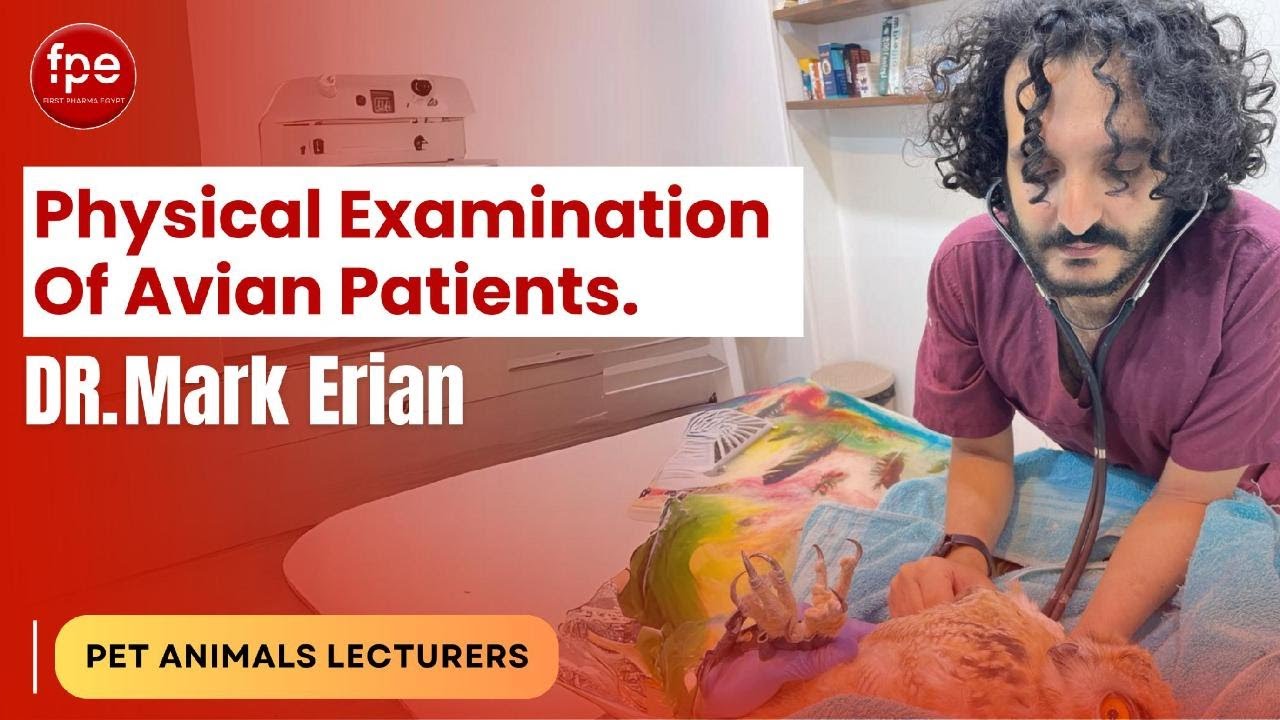 Physical ExaminationOf Avian Patients.