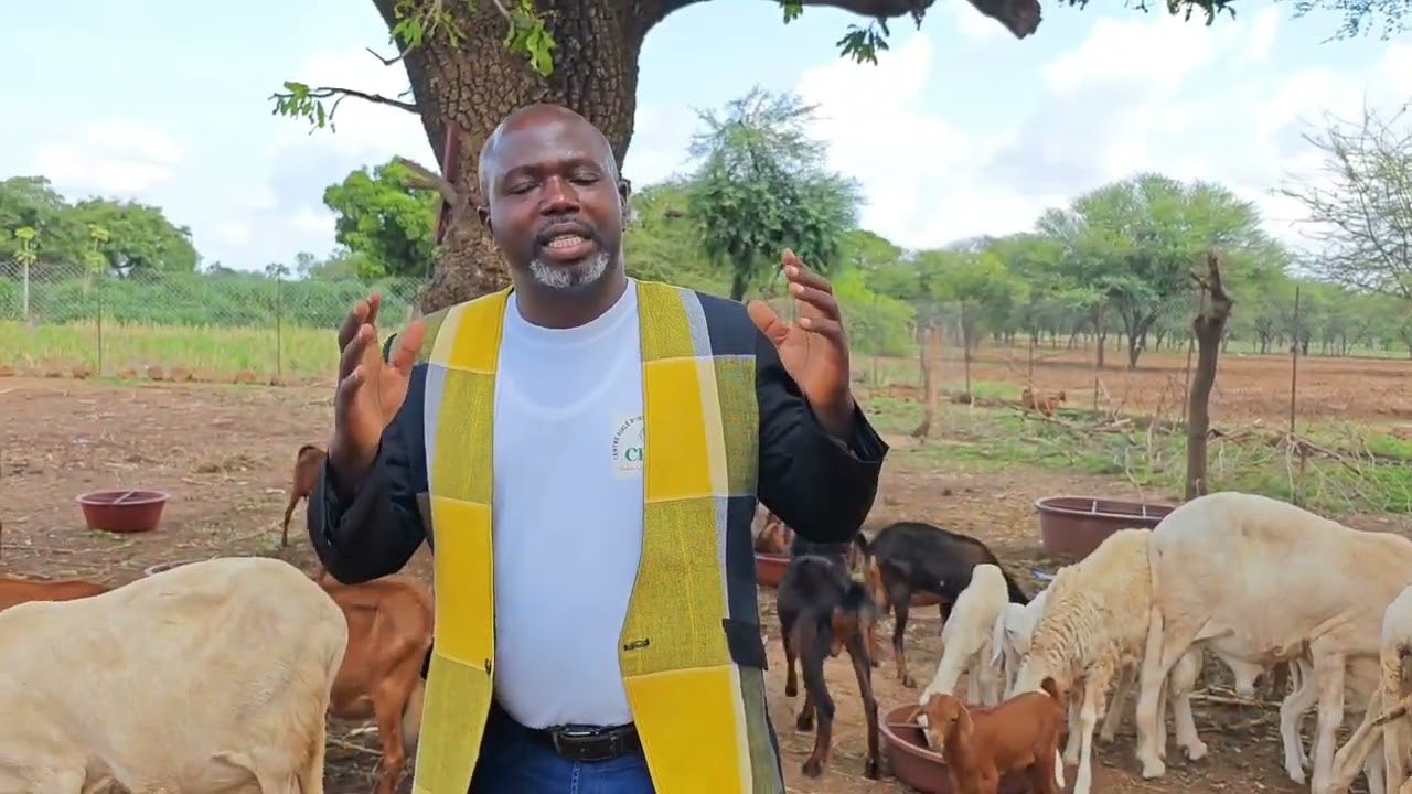 Caravane des petits ruminants 00226 76009706 