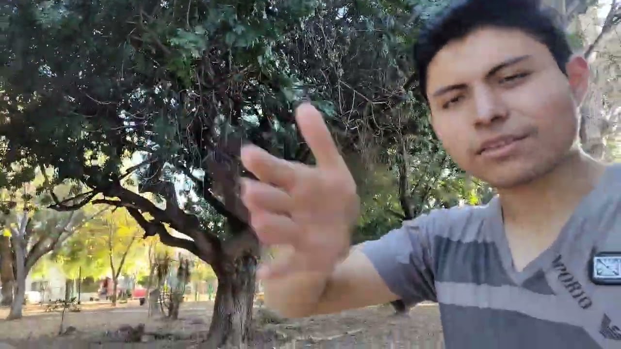 Caminata en el Jardín l Consejos que te pueden ayudar 