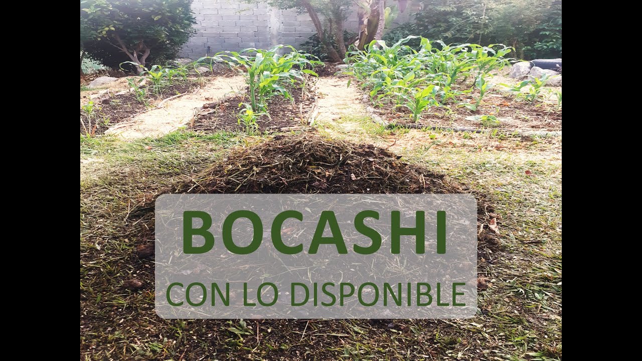 Hice el famoso Bocashi con lo que tenia a mano