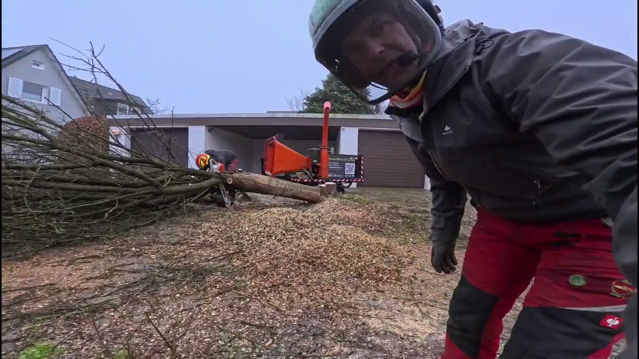 Kirschen fällen und häckseln - Ab und weg ;)