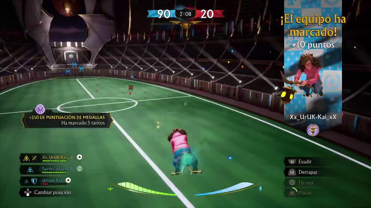 Harry Potter Campeones de Quidditch\