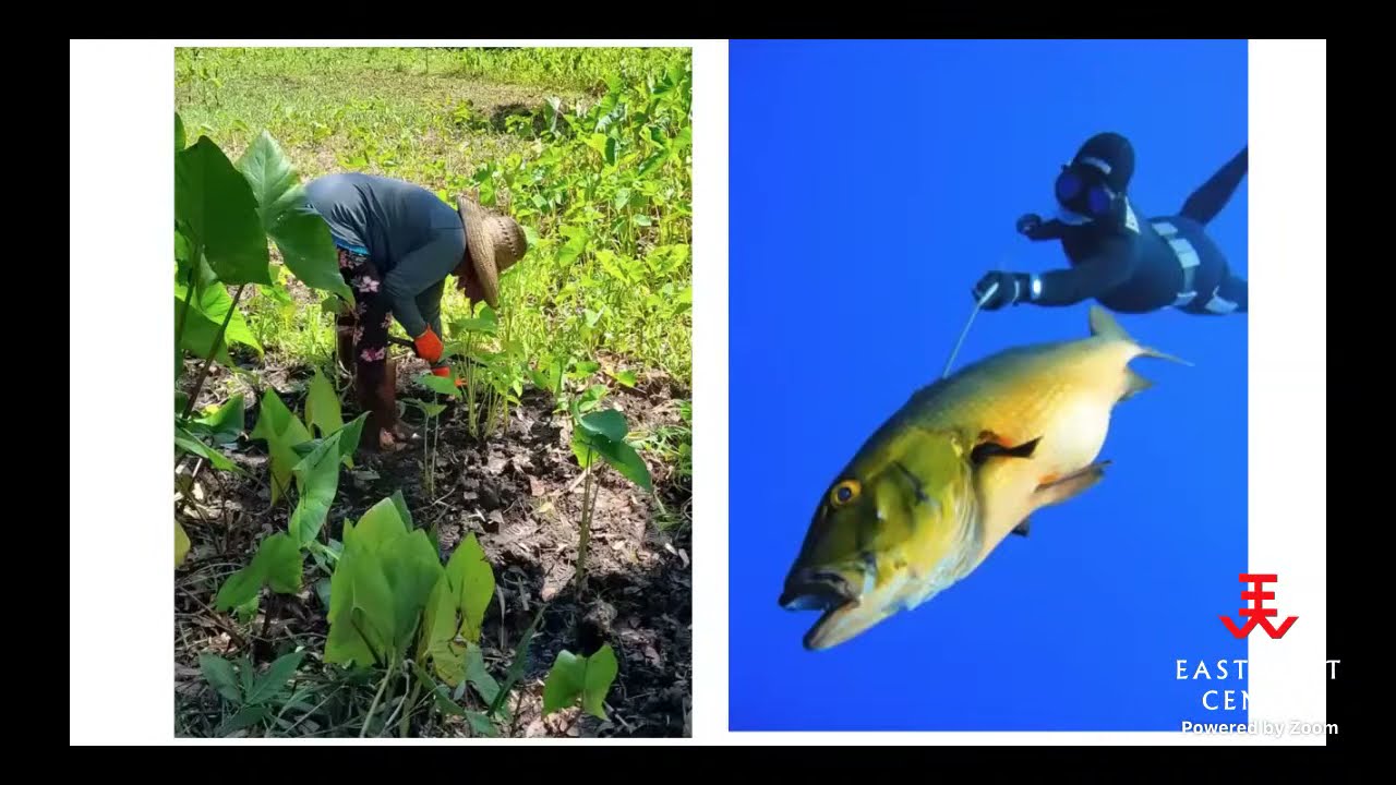EWC Gallery Spotlight on Palauan Artists