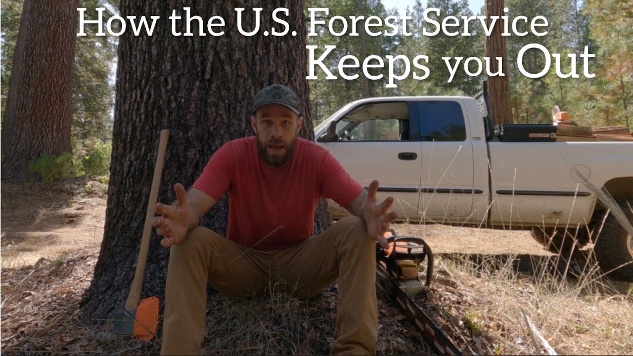 Getting Firewood on Public Land,  and the effects of Forest Trolls. #ms500i #axe #tools