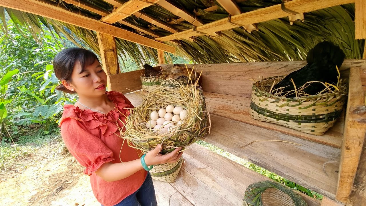 FULL VIDEO : 150 Days Build a Farm, Take Care Of Animals, Gardening, Live With Nature