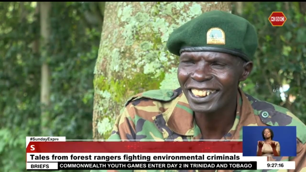Forest rangers put their lives on the line to defend the country’s flora and fauna from criminals