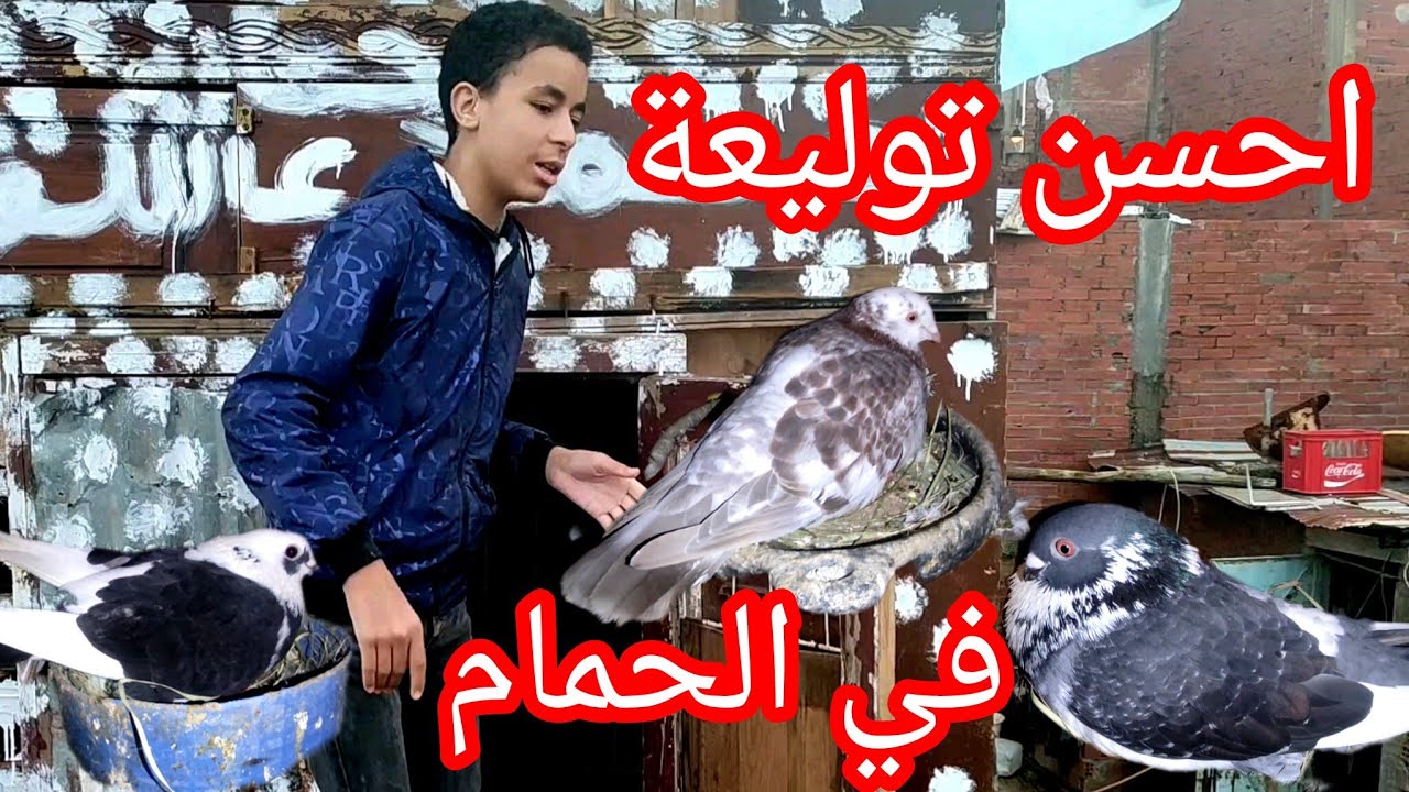 فيديو جديد 💯 أو احسن توليعة في الحمام 😱😯 أو توليعة في الحمام 