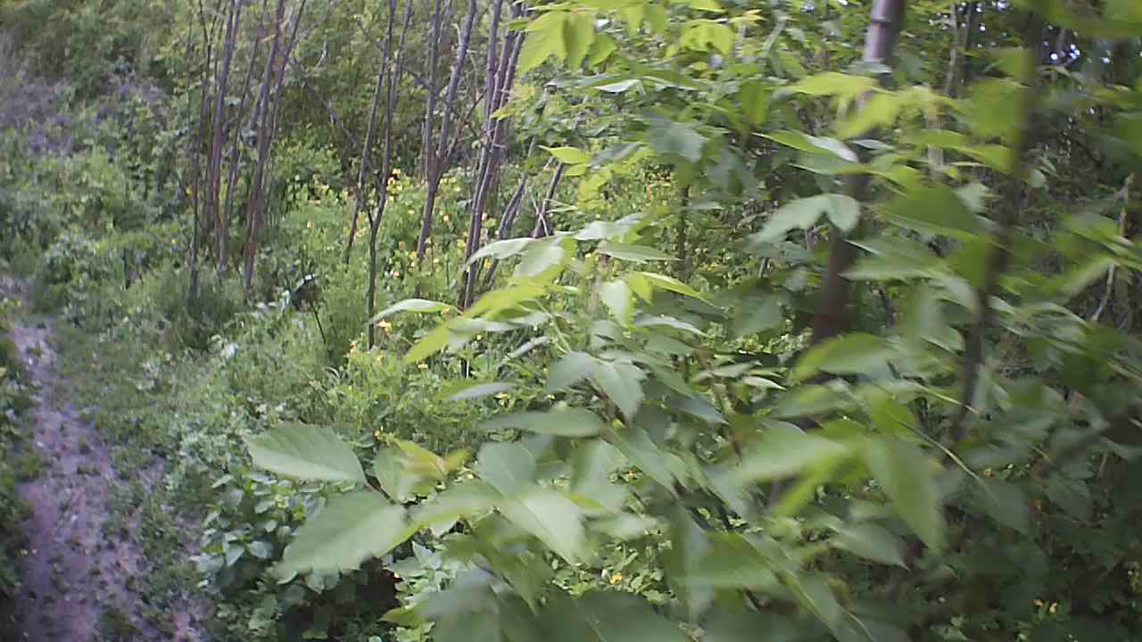 Заброшенный посёлок в Лисичанске