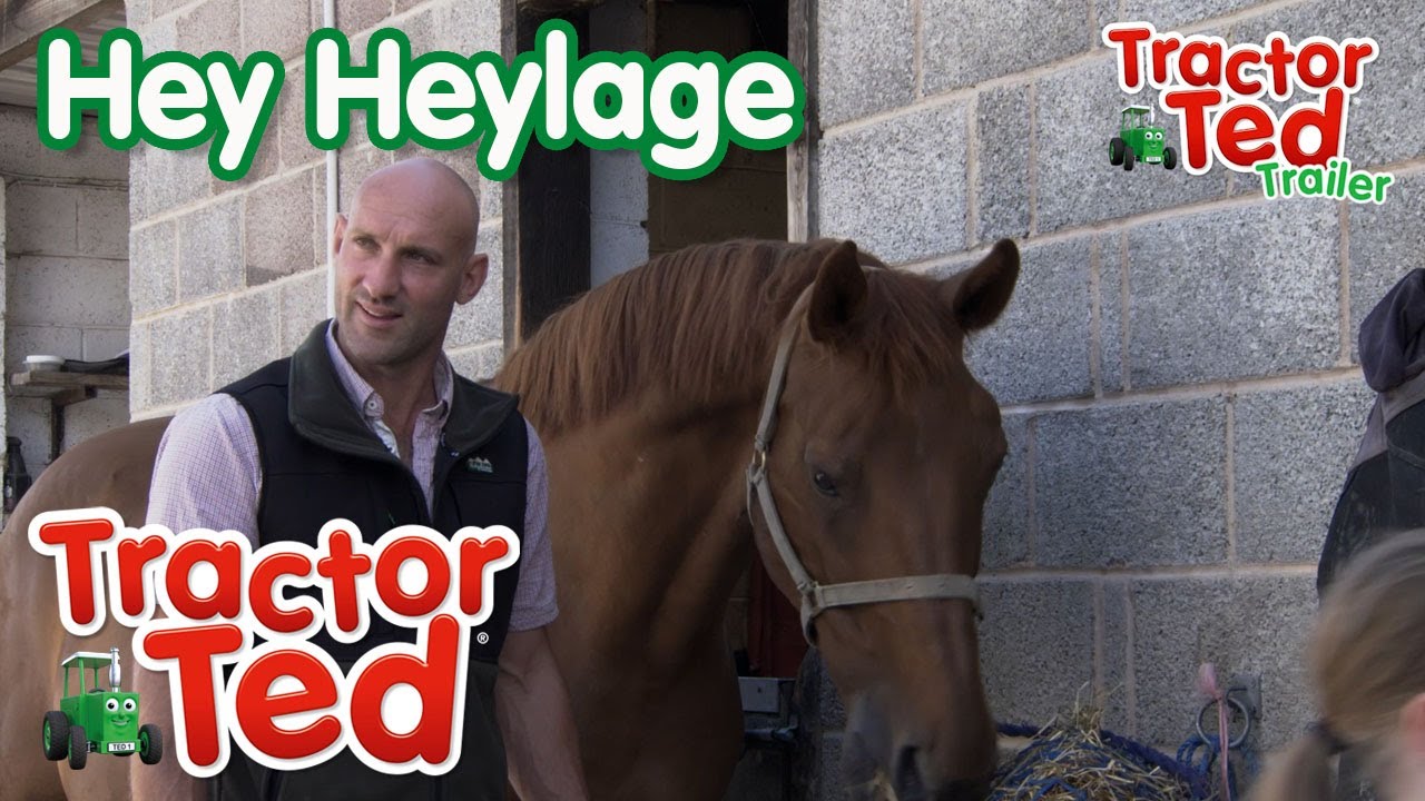 Hey Heylage 🐴 | New Tractor Ted Trailer | Tractor Ted Official Channel