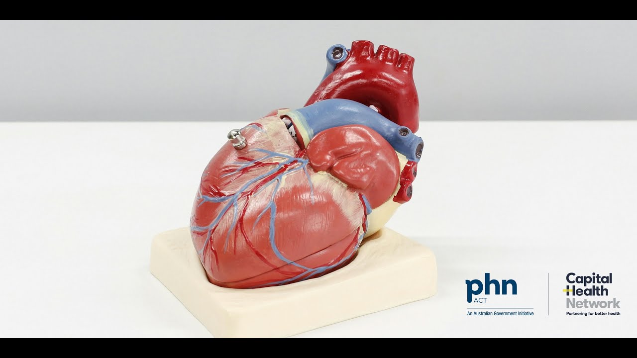 Paediatric Cardiology Essentials for GPs