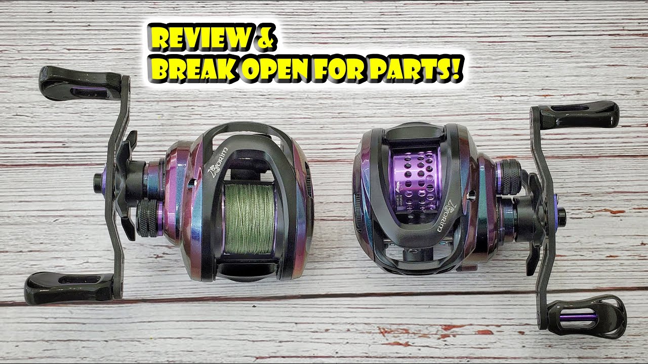 Kyorim Black Knight BFS Reel Review & Break down for Drag Clicker