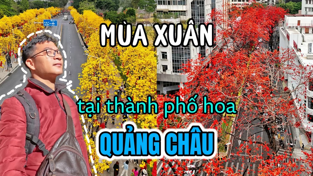 DU LỊCH TRUNG QUỐC: Mùa Xuân tại tp hoa QUẢNG CHÂU [4k]