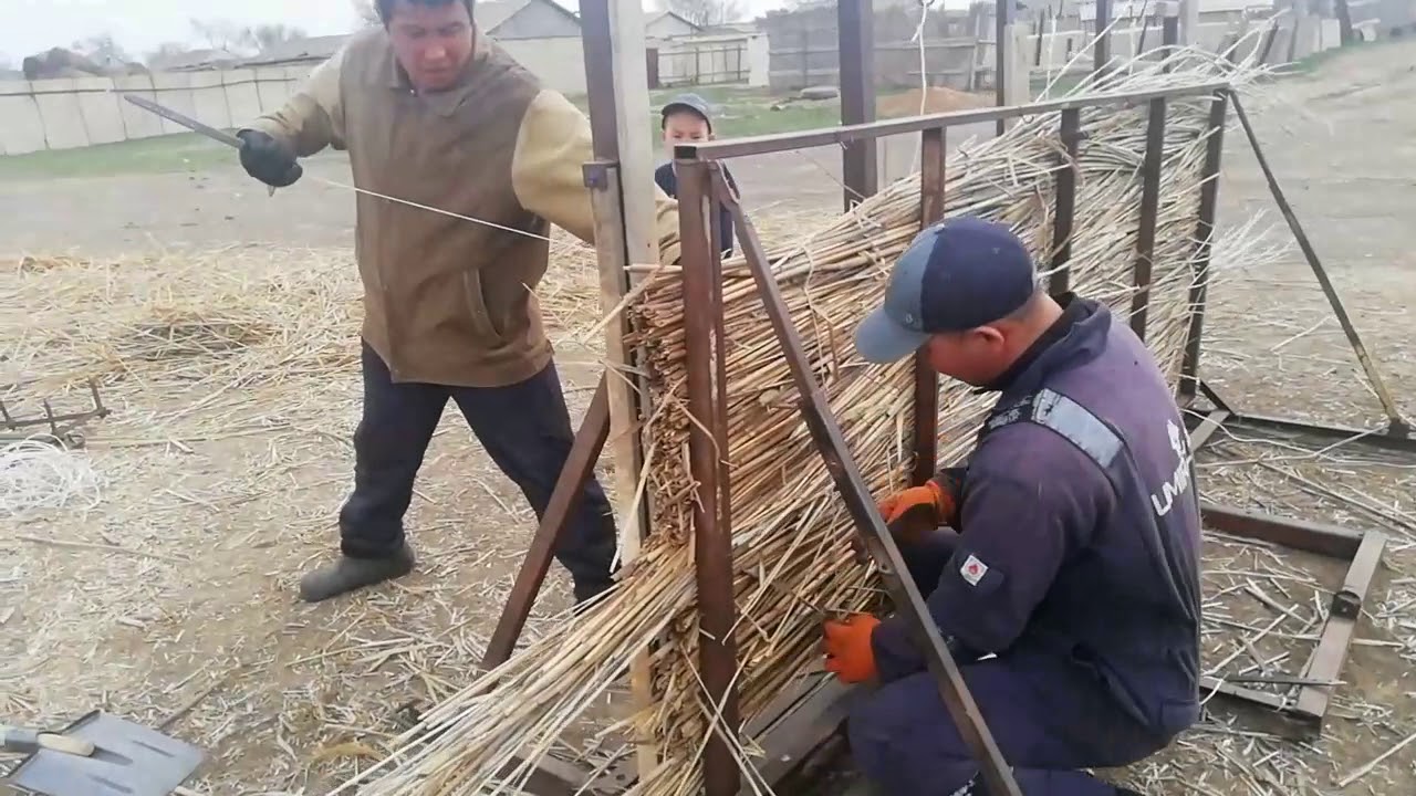 Қамыс тақта (плита) дайындау.