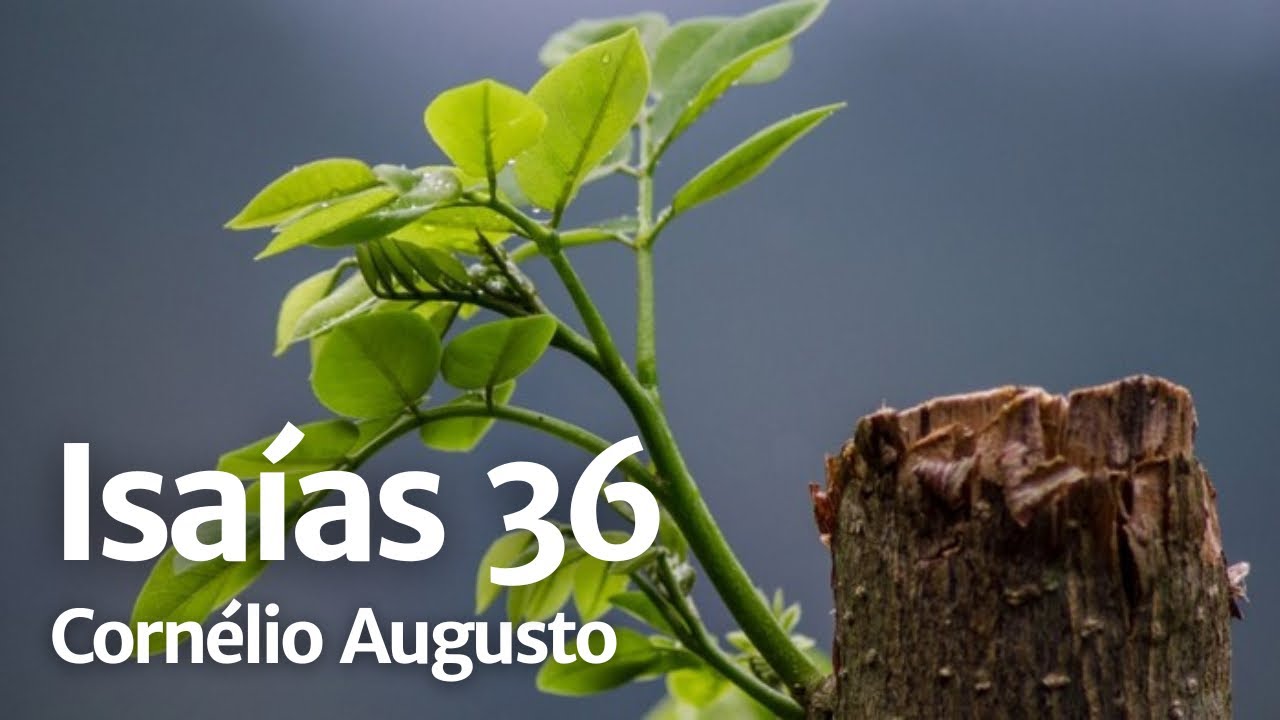 Bíblia Falada | Isaías 36