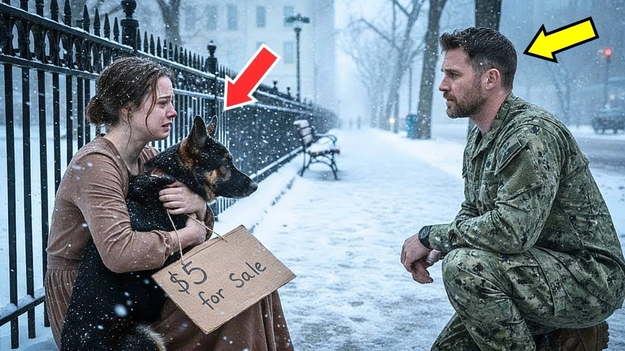 “Signore, può comprare il cane poliziotto di mio padre?” — ciò che fece l’agente cambiò tutto