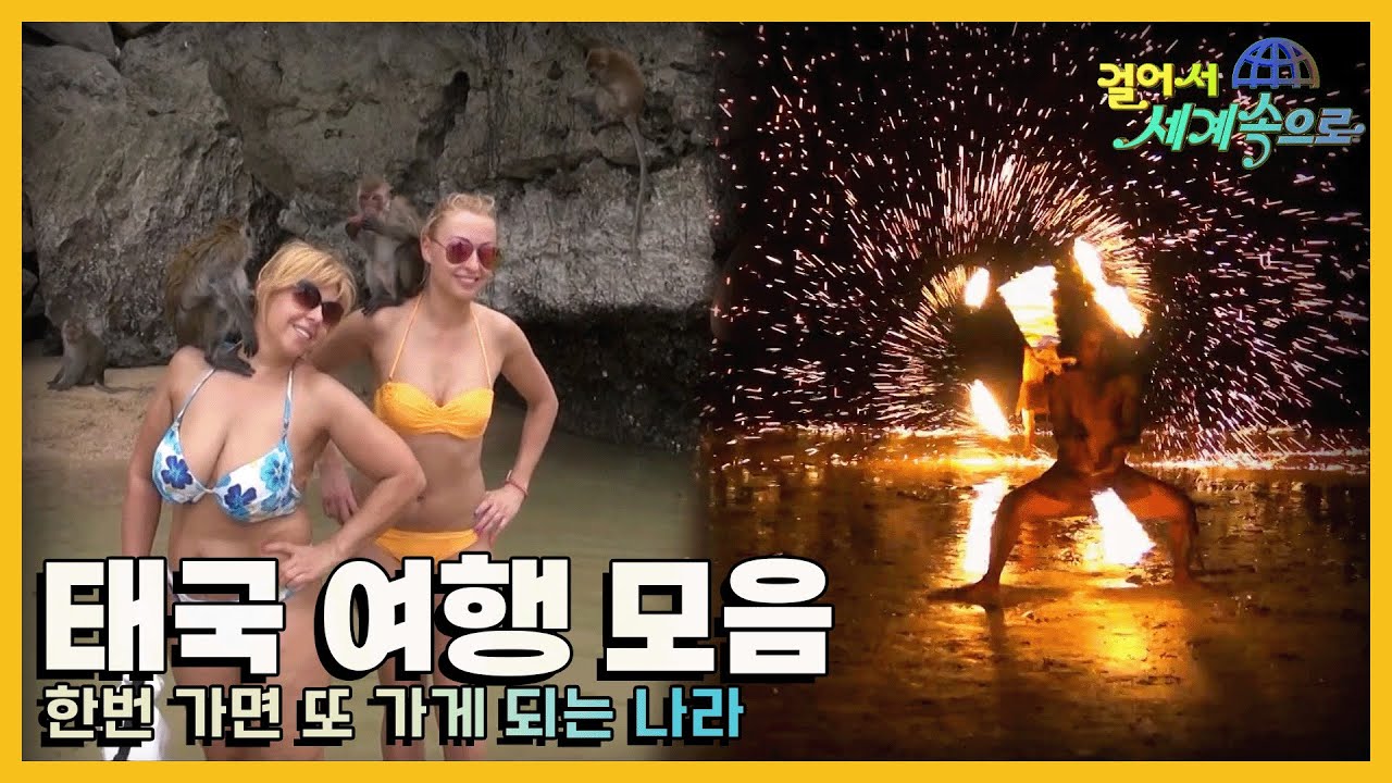 [#걸어서세계속으로] 저렴한 물가와 다양한 볼거리가 있는 여행자들의 천국 '태국 여행' 모음집 (KBS방송)