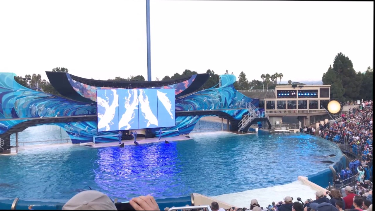 1-8-2017 Finale One Ocean Show