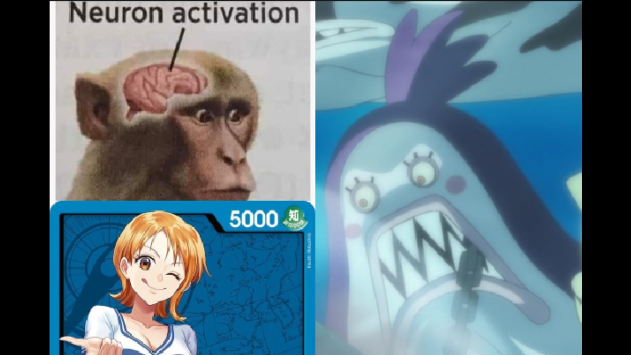 My Opponent's Face When I Play P-Nami... 3/4 Heroines Round 1