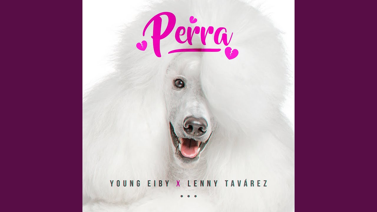 Perra
