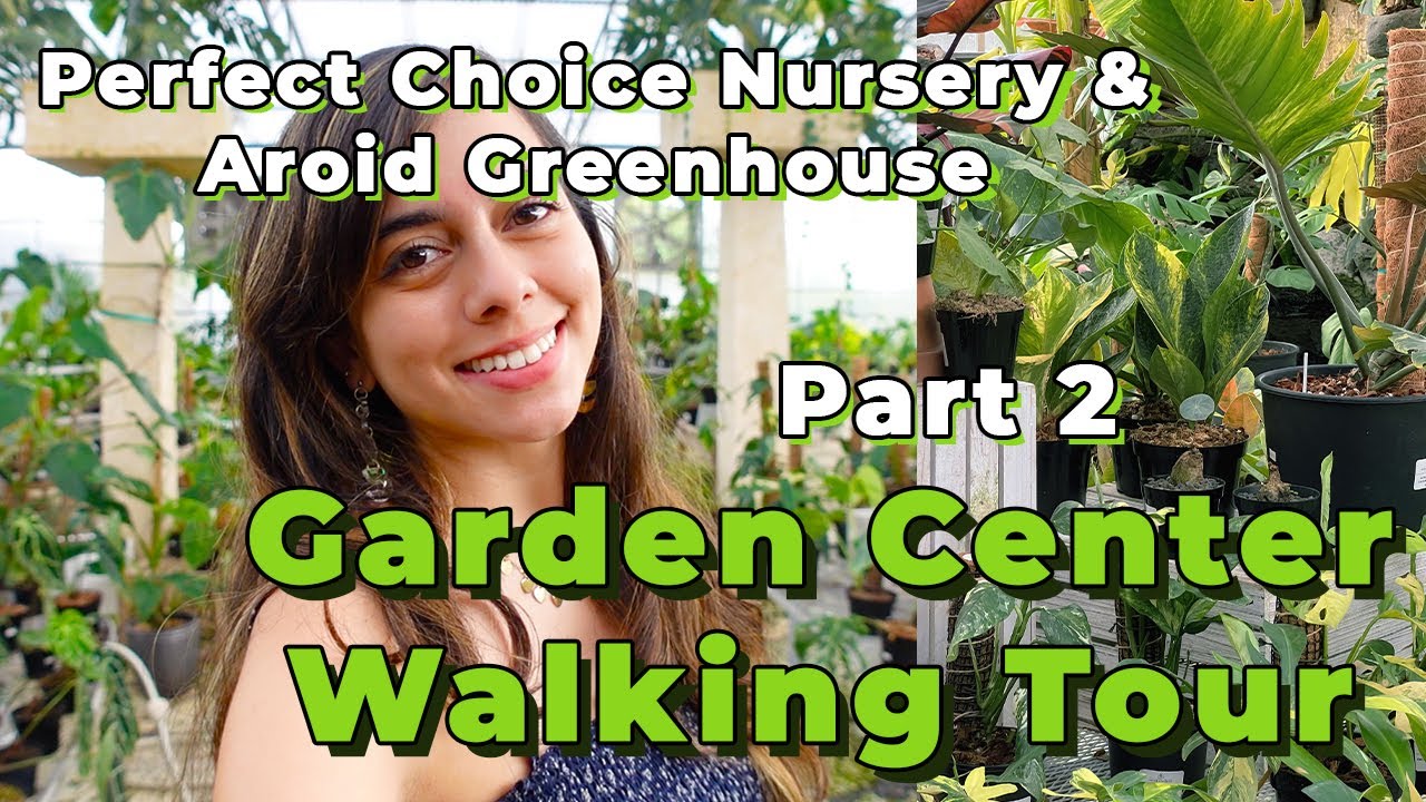 Walking Tour Perfect Choice Nursery Pt. 2 Exotic Plants | Aroid Greenhouse Garden Center Tour
