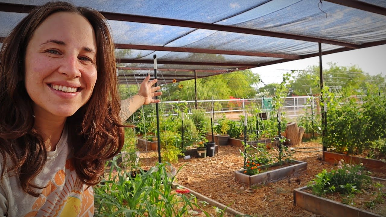 Early Summer Desert Garden Tour | The Problem With Using Bagged Soil