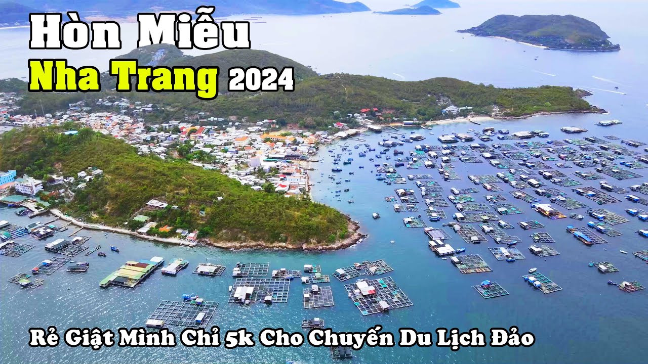 Cách Khám Phá Đảo Hòn Miễu Tuyệt Vời Nhất | QT Dịch Chuyển