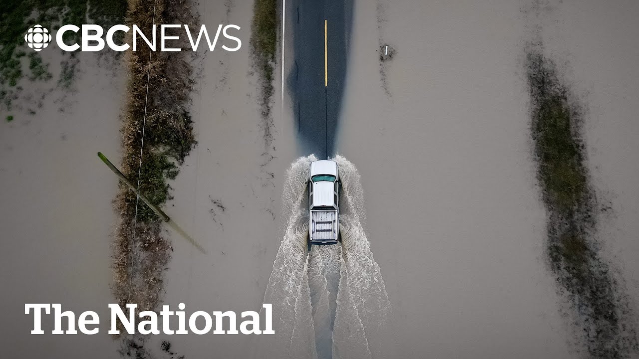 Flood warnings issued for B.C.'s Lower Mainland after heavy rain