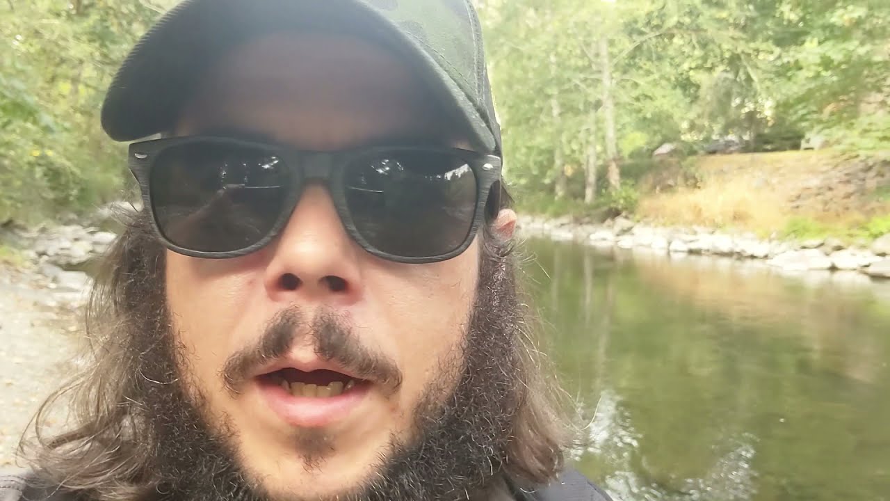 Back On The Cedar River Upstream - Maple Valley, Washington - Spawning Salmon!