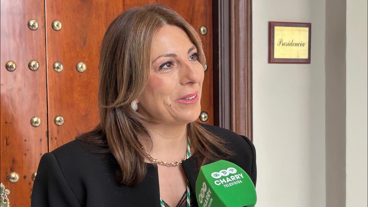 La ciudad de Ronda recibe la Medalla de la Provincia de Cádiz por su solidaridad con Grazalema