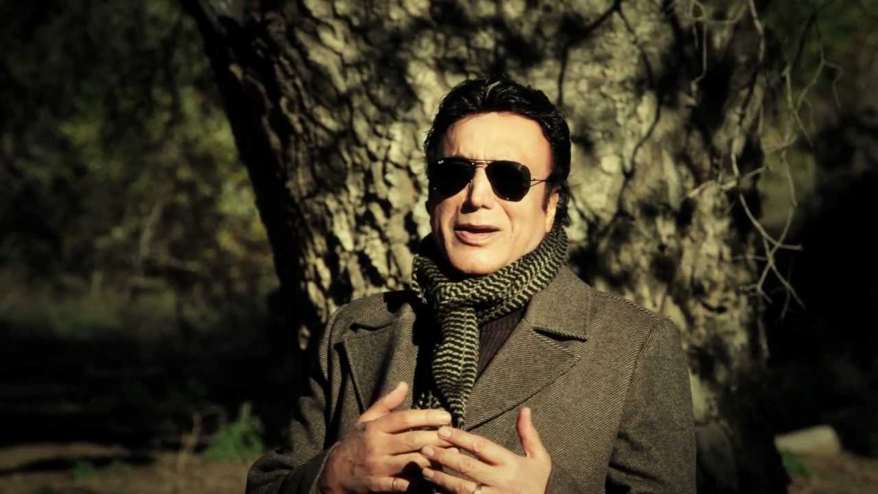 Shamaizadeh 