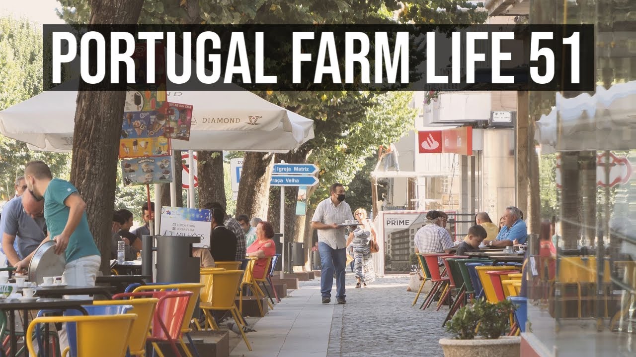 Portugal Farm Life 51 - Fundao visit and how to import a car in Portugal