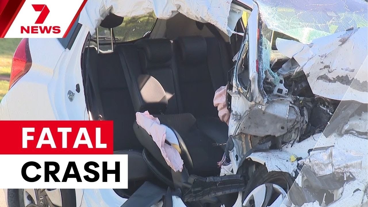 Prominent doctor pleads guilty in fatal high-speed crash | 7NEWS