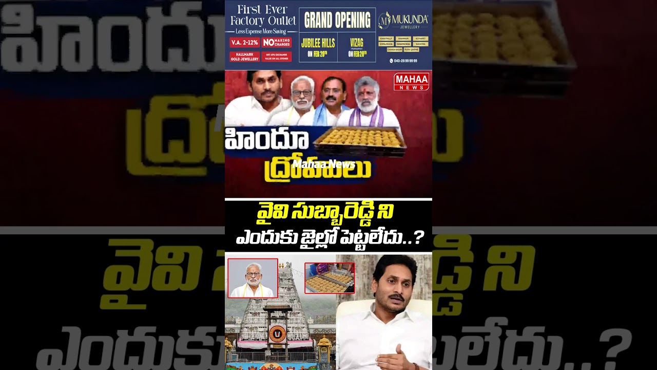 వైవి సుబ్బారెడ్డి ని ఎందుకు జైల్లో పెట్టలేదు..? MLC Naga Babu | YV Subba Reddy | Mahaa News