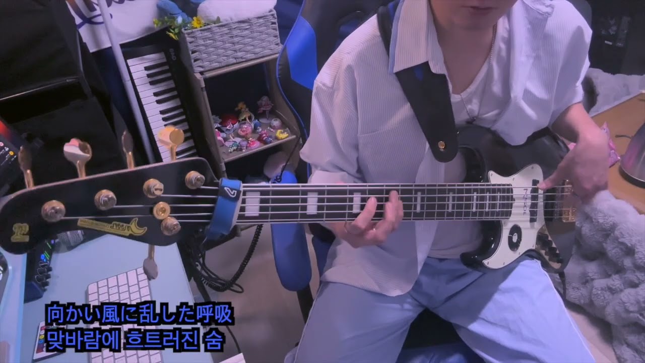 Penthouse- 青く在れ(『第6回全国大学対校男女混合駅伝』テーマソング) (bass cover)