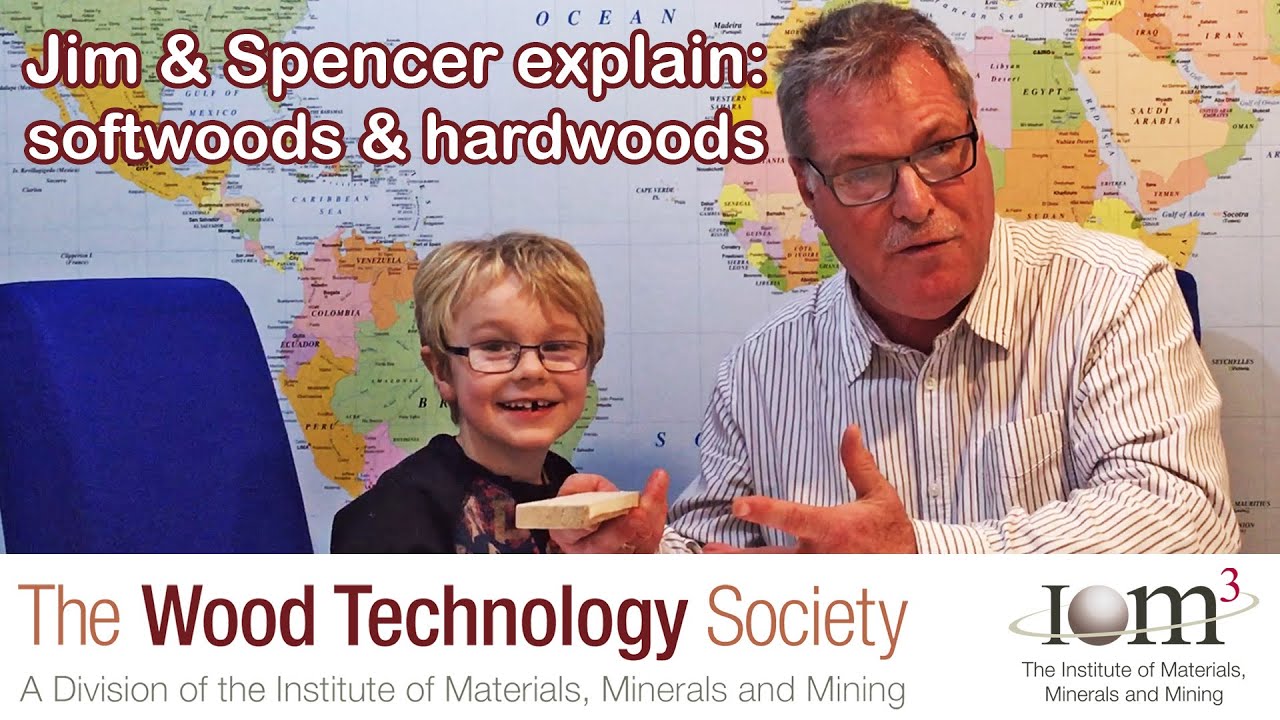 Jim and Spencer explain: hardwoods and softwoods