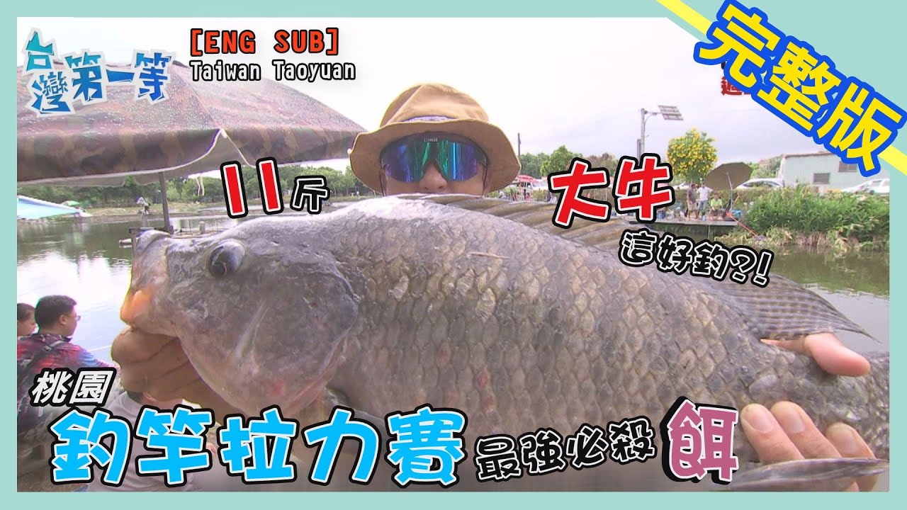 [ENG SUB] 桃園 Taoyuan【福壽魚釣場 / 11斤大牛一手釣 / 最美海上步道 】│2020.10.18│《台灣第一等》完整版